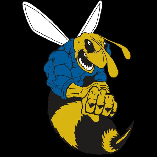 AR5 BEE 29 RQC Thumbnail