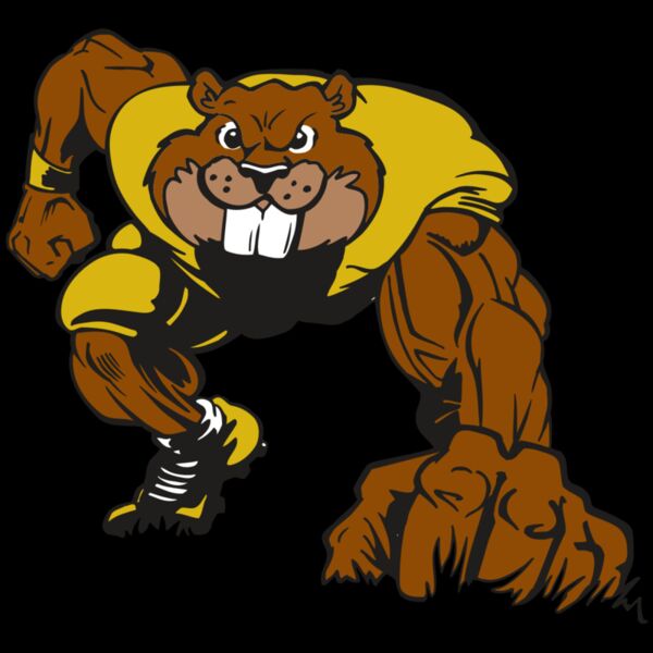 AR14 BEAVER FBLL 03 RQC Thumbnail