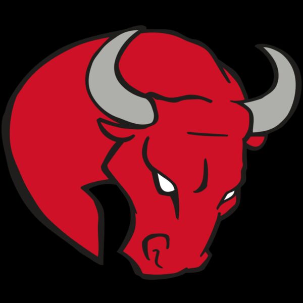 AR BULL 24 RC Thumbnail