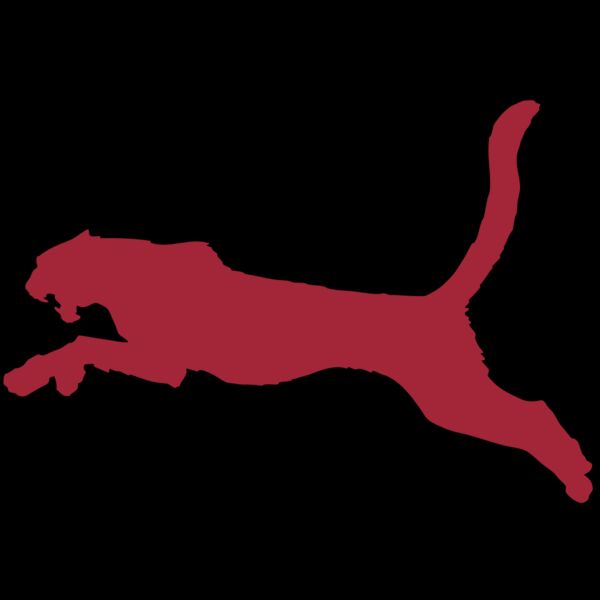 AR CHEETAH 11 RC Thumbnail