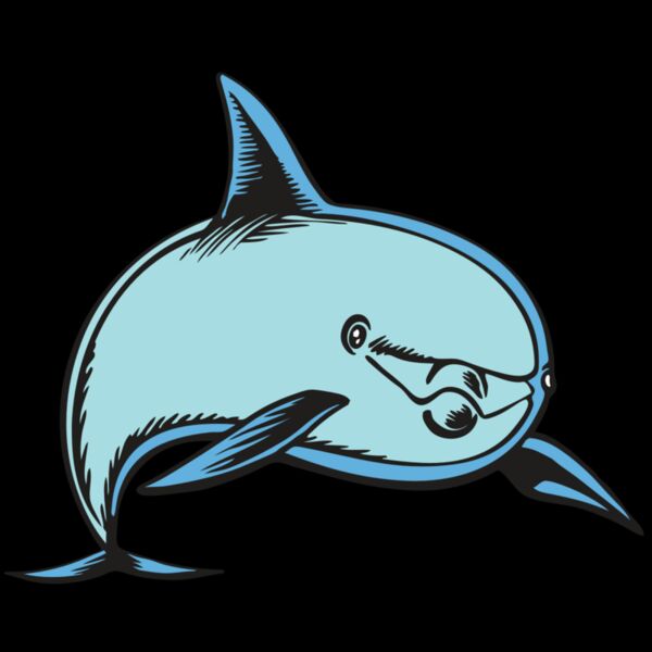 BAW DOLPHIN 04 RC Thumbnail