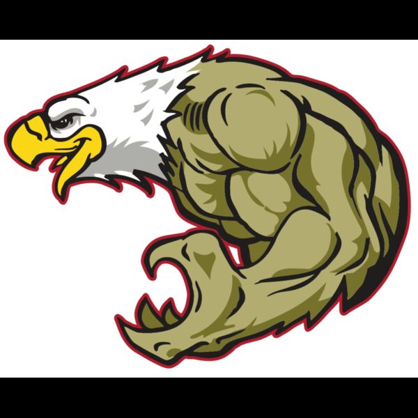 AR EAGLE 22 RC Thumbnail