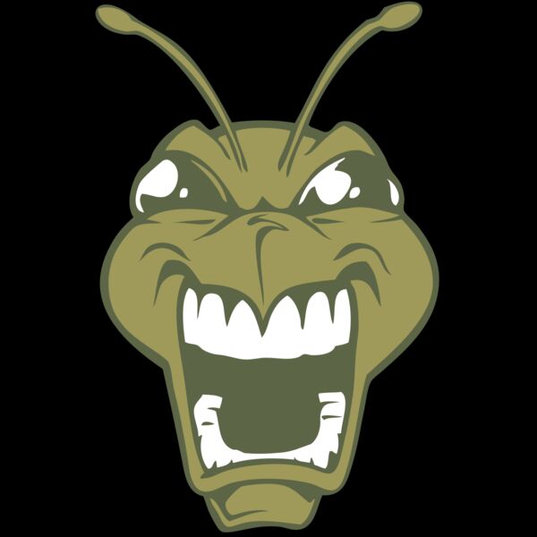 BAW BEE 13 RC Thumbnail