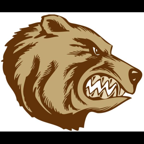 BAW BEAR 16 RC Thumbnail