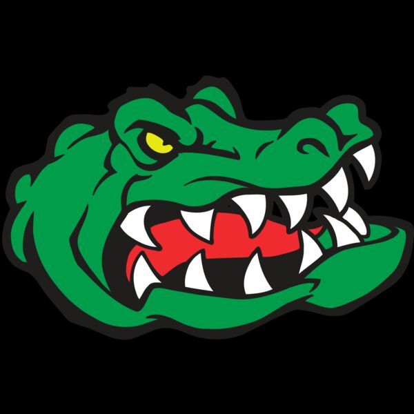 AR GATOR 19 RQC Thumbnail