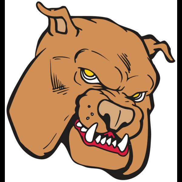 AR BDOG 41 RC Thumbnail