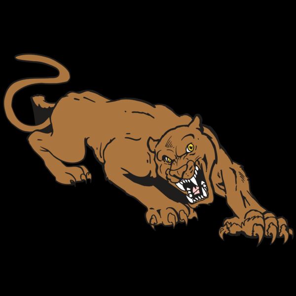 AR5 COUGAR 41 RQC Thumbnail