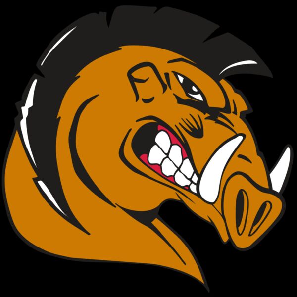 AR RAZORBACK 19 RC Thumbnail