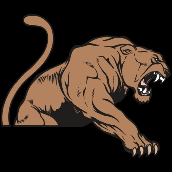 AR COUGAR 55 RC Thumbnail