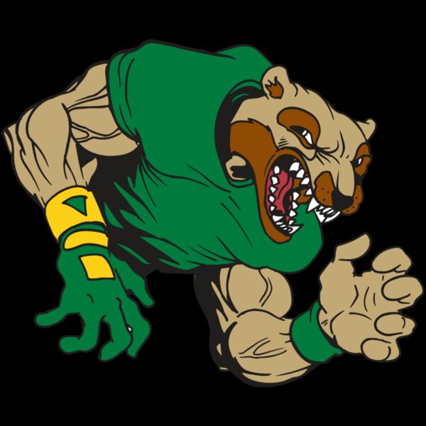 AR5 Wolverine 17 RQC Thumbnail