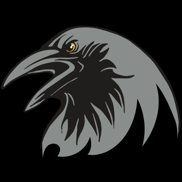 AR31 RAVEN 02 RQC Thumbnail