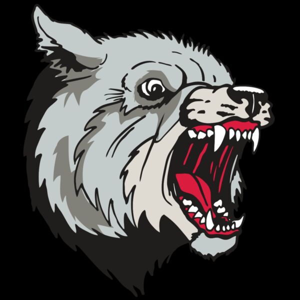 AR WOLF 38 RC Thumbnail