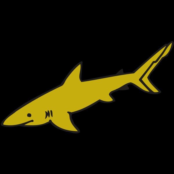 AR  SHARK 31 RC Thumbnail